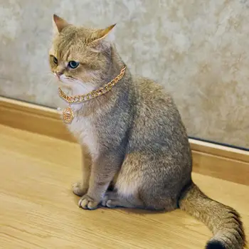 Ошейник-цепочка для кошек с модным колокольчиком, ожерелье, ошейник, зоотовары для собак и кошек, модные украшения, подарки на День рождения